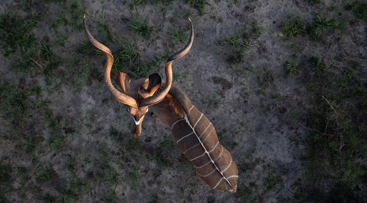 Evolve Back Gham Dhao Lodge, Kalahari