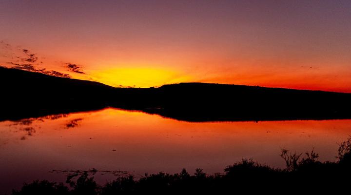 Lebanon Citrus Holiday Farm