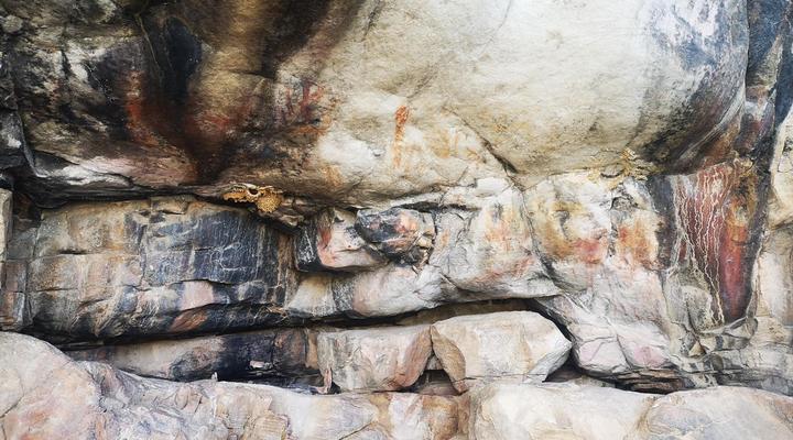 Lebanon Citrus Holiday Farm