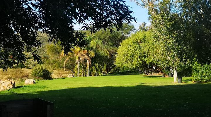 Lebanon Citrus Holiday Farm