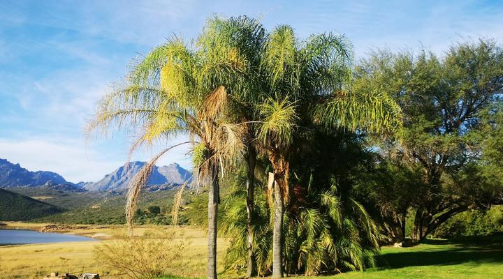 Lebanon Citrus Holiday Farm