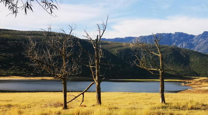 Lebanon Citrus Holiday Farm
