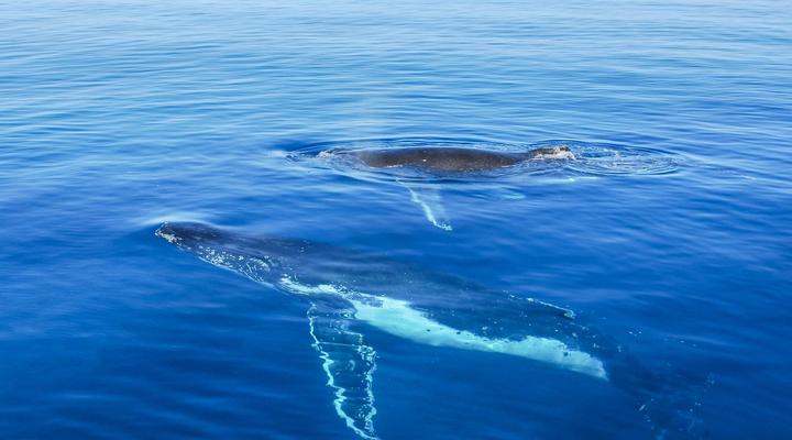 74 on Marine – Apartment 102