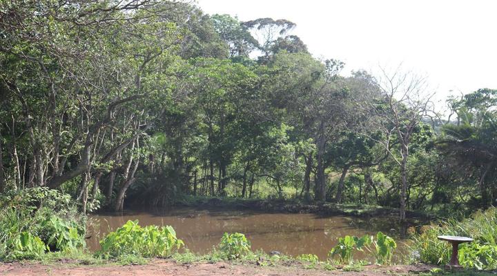 Anerley Garden Park Resort