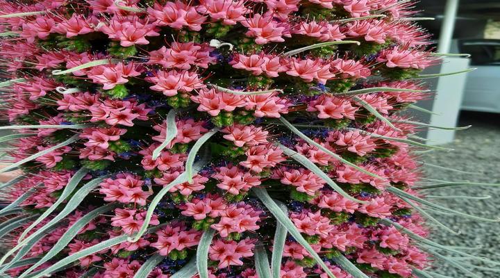 Spes Bona Guesthouse