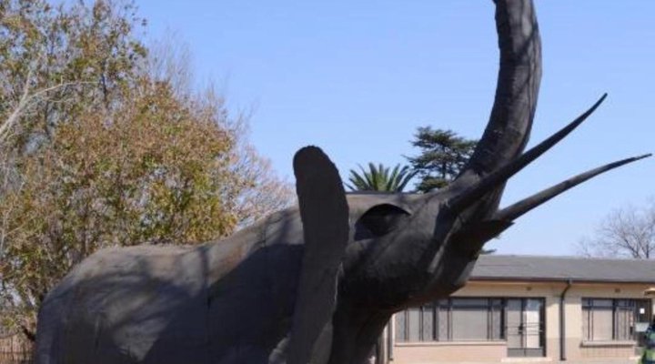 Elephant Lodge Guest House