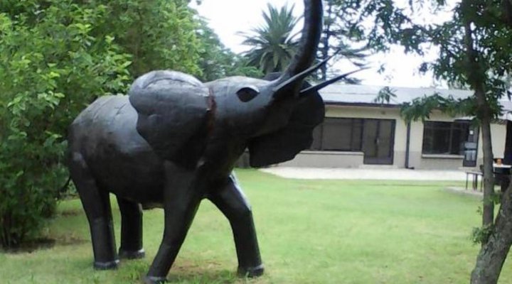 Elephant Lodge Guest House