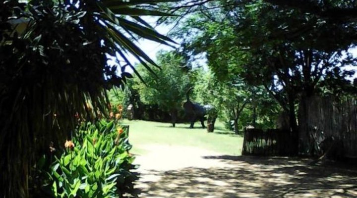 Elephant Lodge Guest House