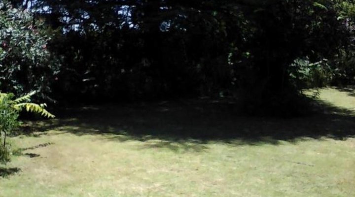 Elephant Lodge Guest House