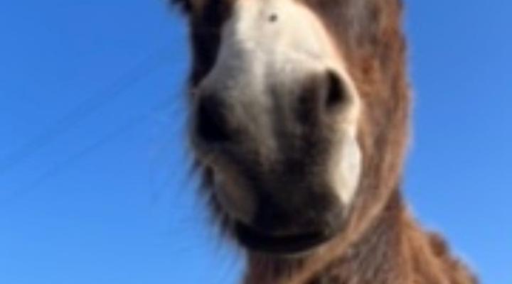 Stoneridge Farm self-catering accommodation