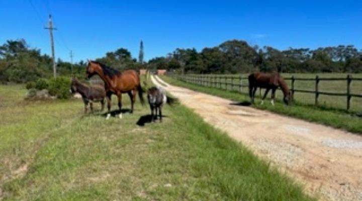 Stoneridge Farm self-catering accommodation