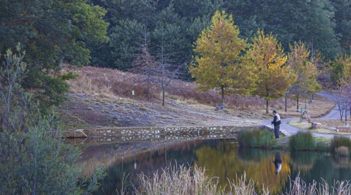 The Lofts Boutique Suites