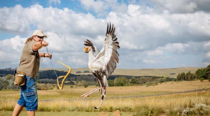 The Lofts Boutique Suites