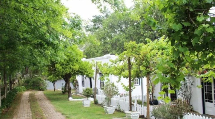 Moffid's Place