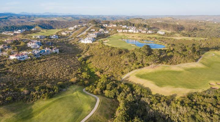 Big Tree House Lodge