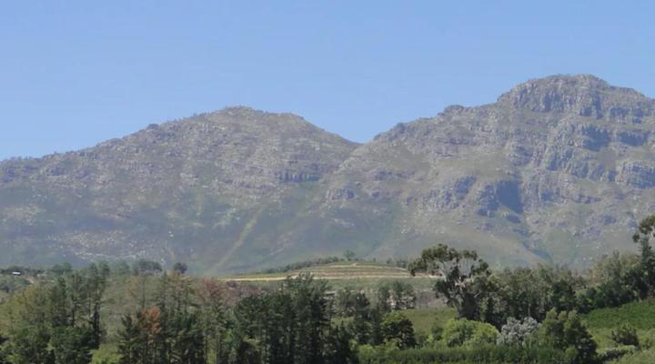 Squirrel Close and Squirrel Den