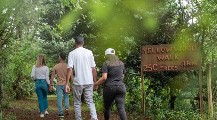 AfriCamps Champagne Valley, Drakensberg