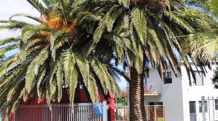 Two Palm House - Vermont Hermanus