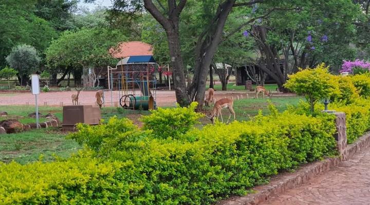 Villa Rosa Guest Farm