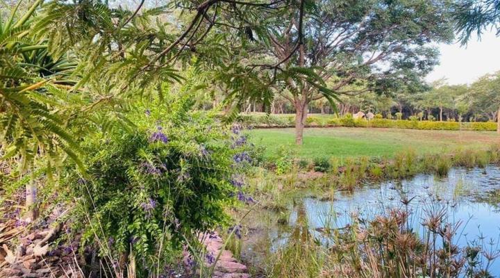 Villa Rosa Guest Farm