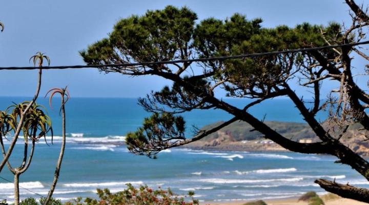 Reef View - East London