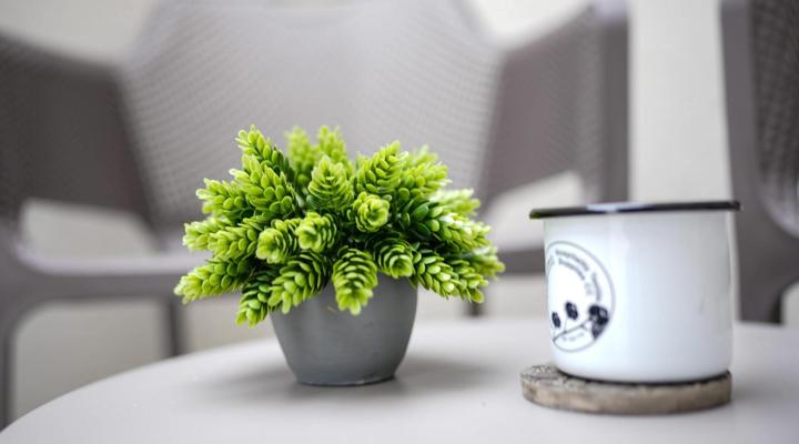 The Lofts Prestige Suites, Academia