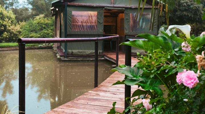 Sanctuary Guest & Adventure Farm