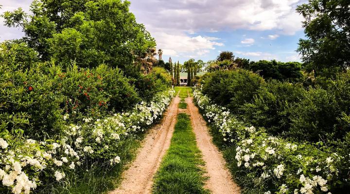 Sanctuary Guest & Adventure Farm