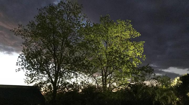 Sanctuary Guest & Adventure Farm