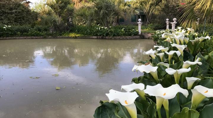 Sanctuary Guest & Adventure Farm