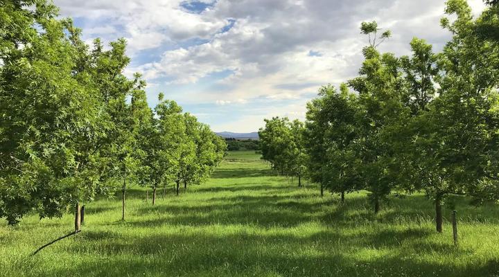 Sanctuary Guest & Adventure Farm