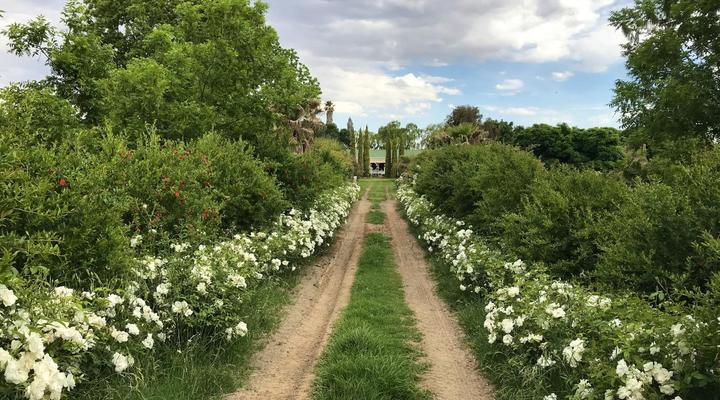 Sanctuary Guest & Adventure Farm