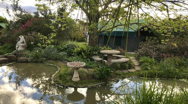 Sanctuary Guest & Adventure Farm