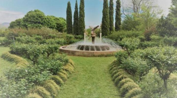 Sanctuary Guest & Adventure Farm