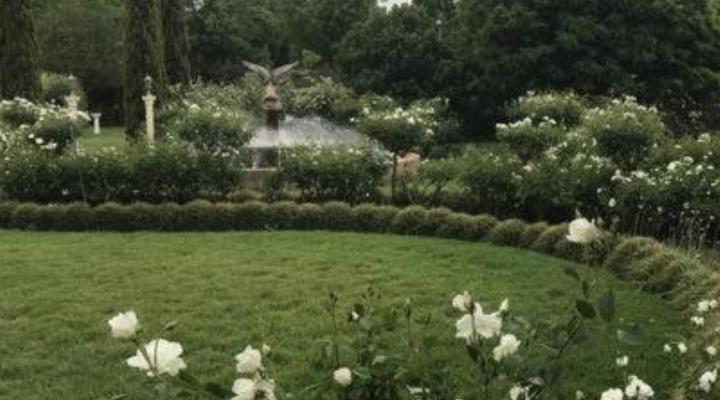 Sanctuary Guest & Adventure Farm