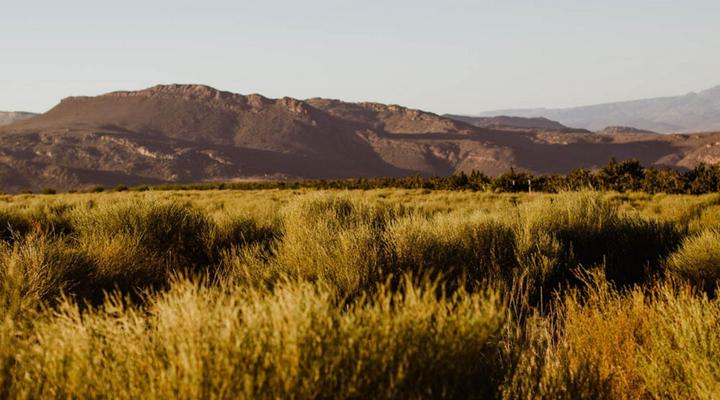 Sewefontein Guest Farm