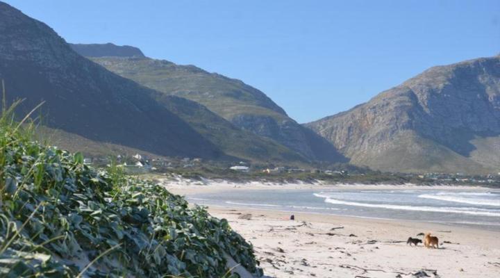 The Beach Cottage Betty's Bay