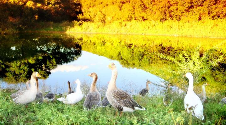 Blanco Guest Farm & Holiday Resort