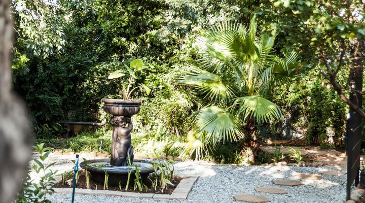 The Wild Ivy Guesthouse