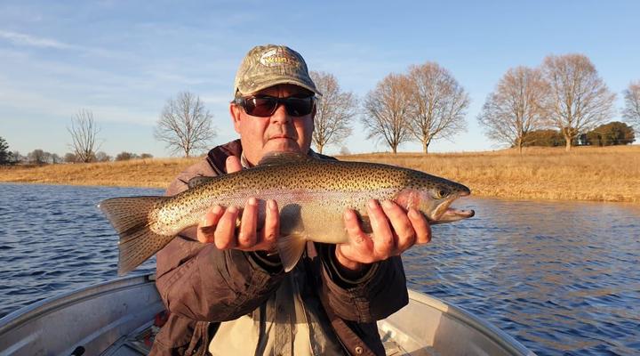 Lake Lintrose Self-catering Cottages