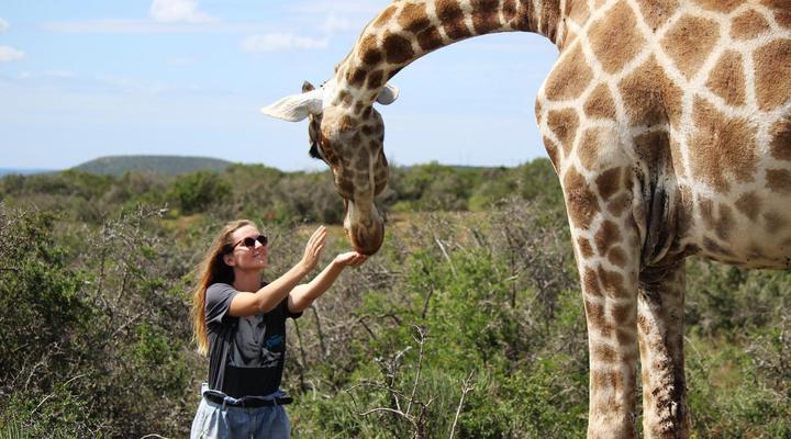 Charihandra Private Game Lodge