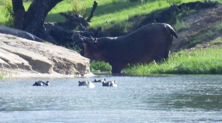Kubu Zambezi Campsite