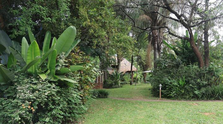 Shingalana Guest House