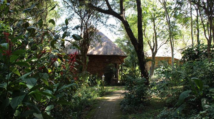 Shingalana Guest House