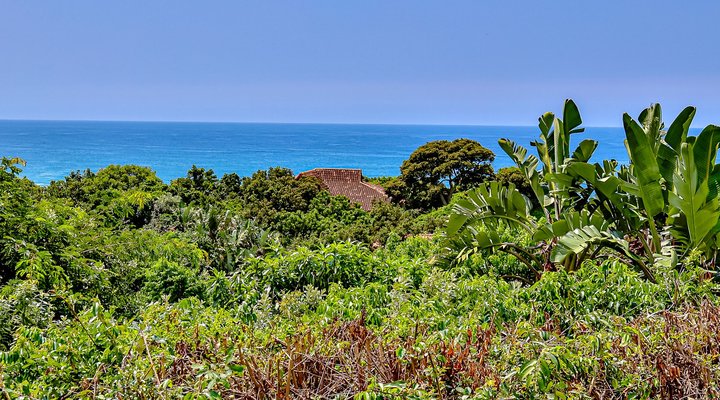 4 Ihlati Zimbali