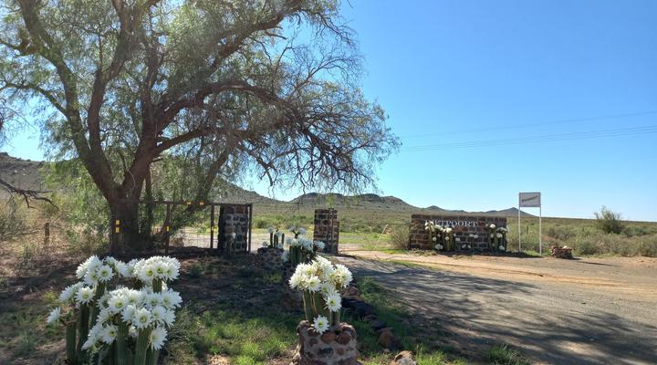 Rietpoort Guest House