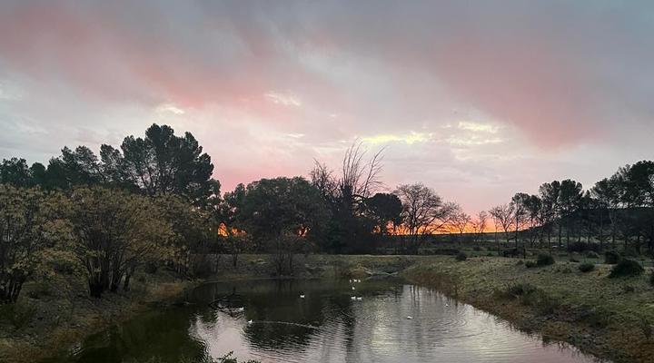 Rietpoort Guest House