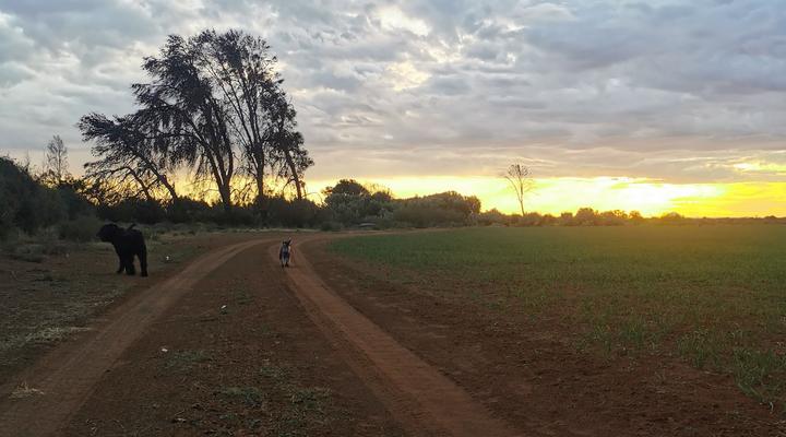 Rietpoort Guest House