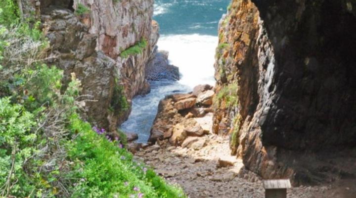 Guadeloupe Self Catering Cottages & Apartments