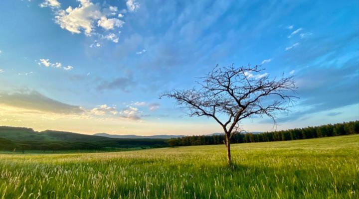 Tranquility-Ukuthula Guesthouse